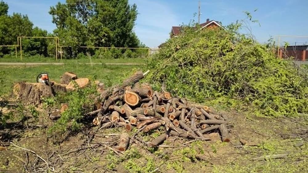 Подготовка участка под строительство